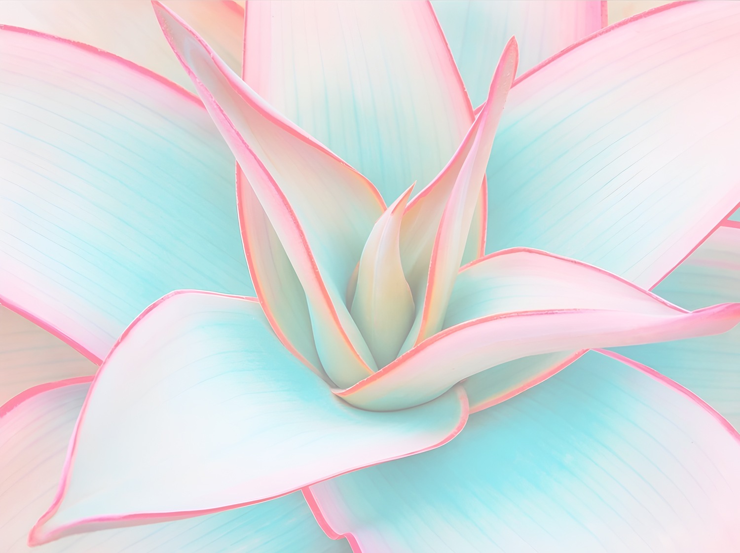 queence Acrylglasbild "Blüte in Pastelltönen" Abstrakt  Abstrakte  Blumen günstig online kaufen