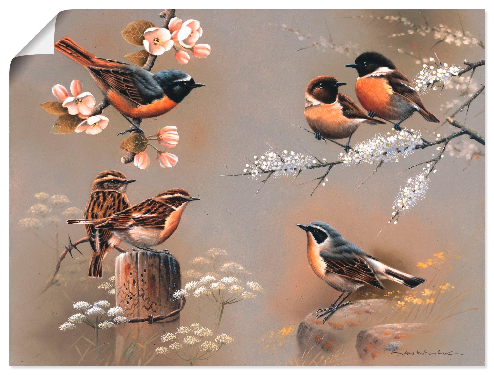 Artland Wandbild »Vogel Komposition«, Vögel, (1 St.), als Leinwandbild,  Wandaufkleber oder Poster in versch. Größen bestellen | BAUR