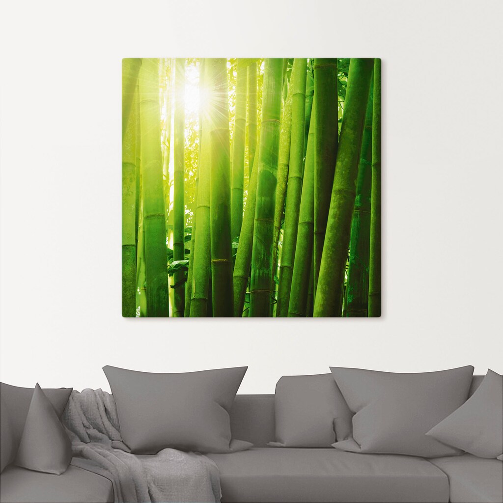 Artland Leinwandbild »Asiatischer Bambuswald im Morgenlicht«, Gräser, (1 St.)