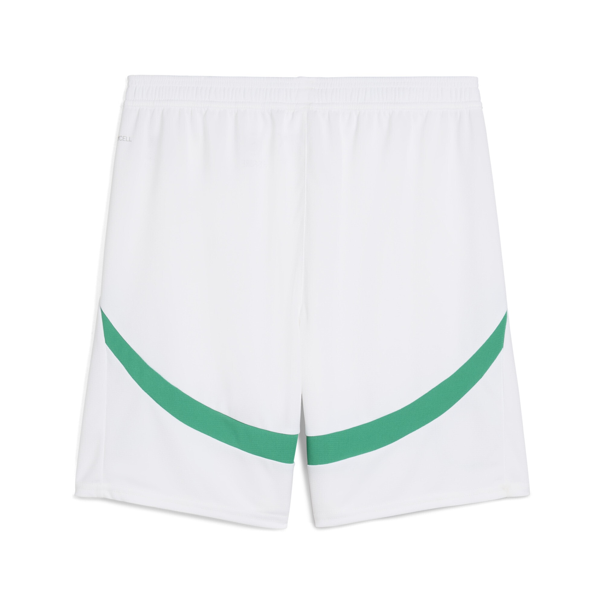 PUMA Sporthose »Senegal 2025 Shorts Herren«