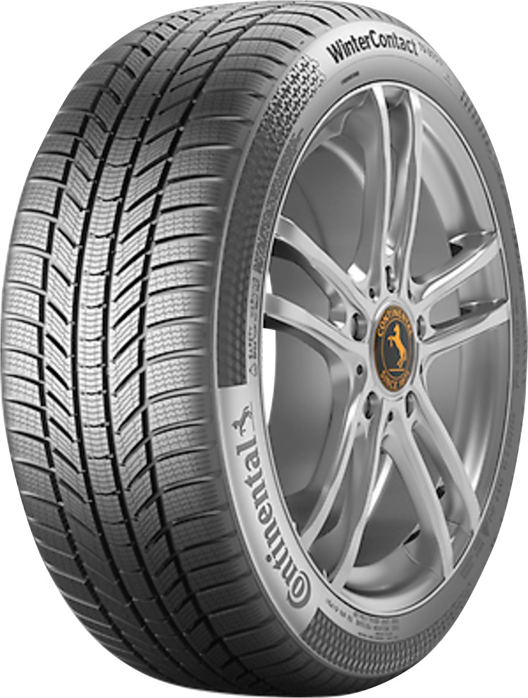 CONTINENTAL Sommerreifen »EcoContact BAUR St.), 205/65 R16 95H | auf 6«, Raten (1