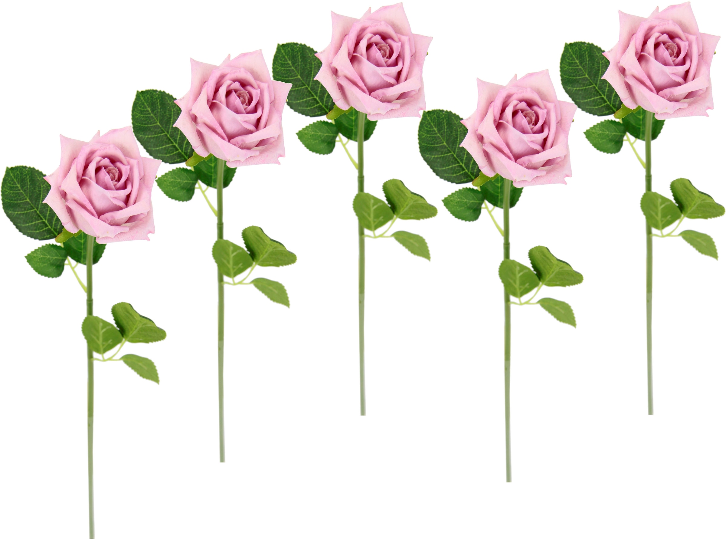 I.GE.A. Kunstblume »Rose«, 5er kaufen Seidenrosen, Rosen, BAUR Set künstliche Kunstzweig, | Bouquet, Kunstrose