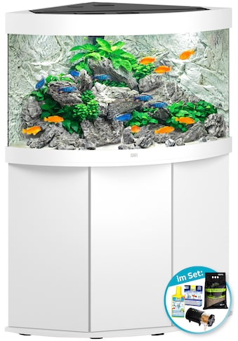 JUWEL AQUARIEN Aquarien-Set »Trigon 190 LED + SBX Tri...