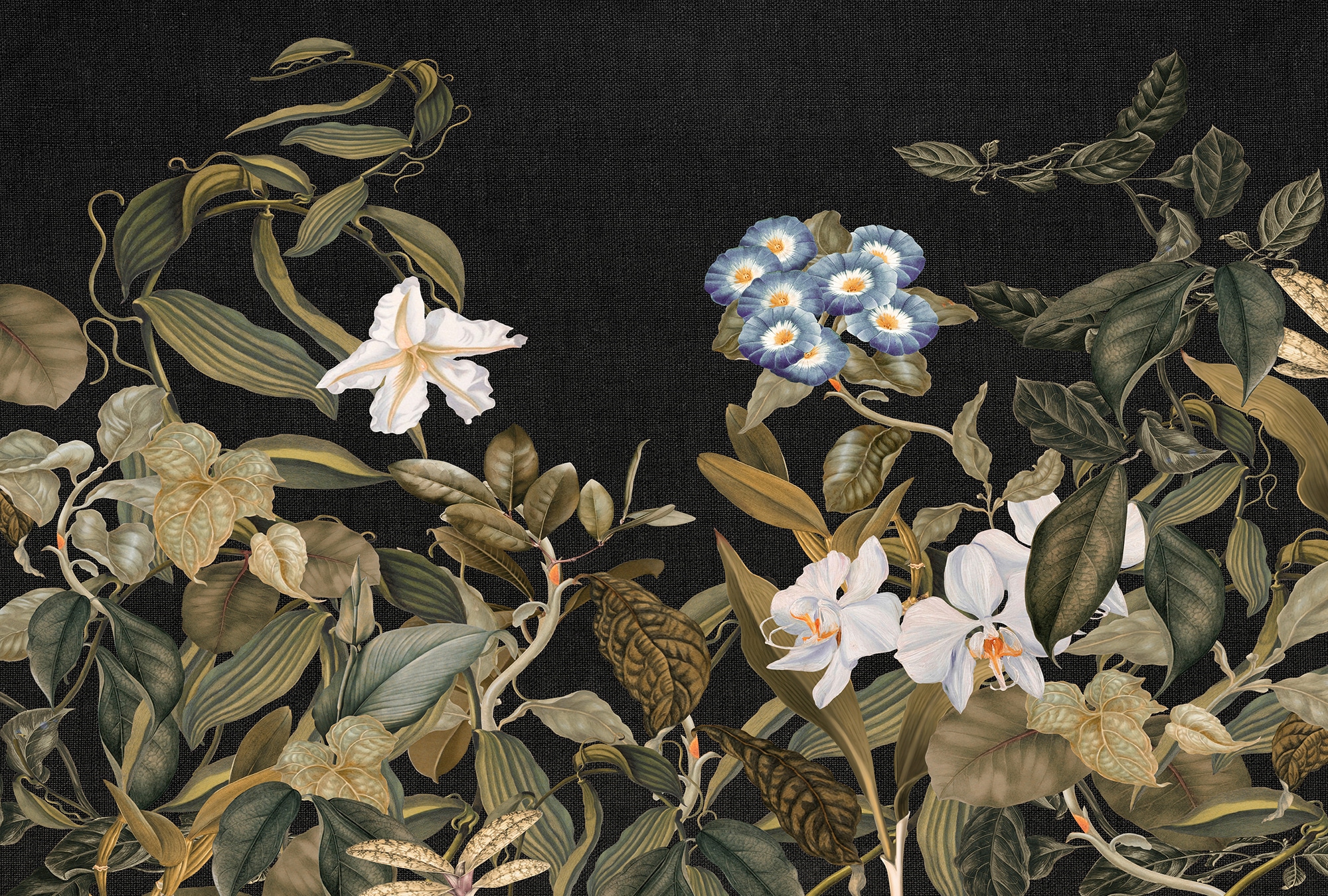 Architects Paper Fototapete "Atelier 47 Botanic Sketch 1" floral glatt Vlies, Wand, Schräge, Decke