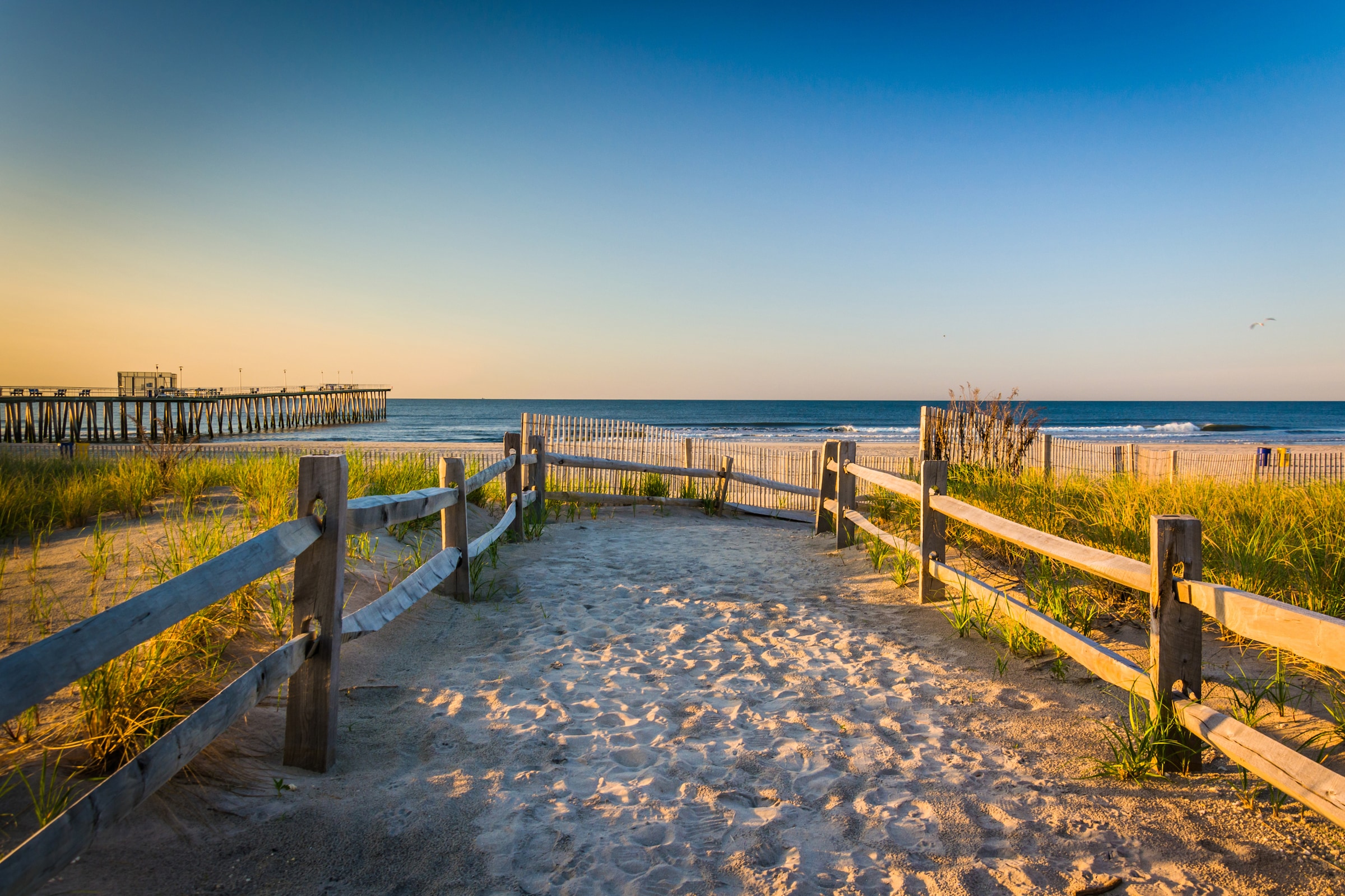 Papermoon Fototapete "Dunes Atlantic Ocean" glatt