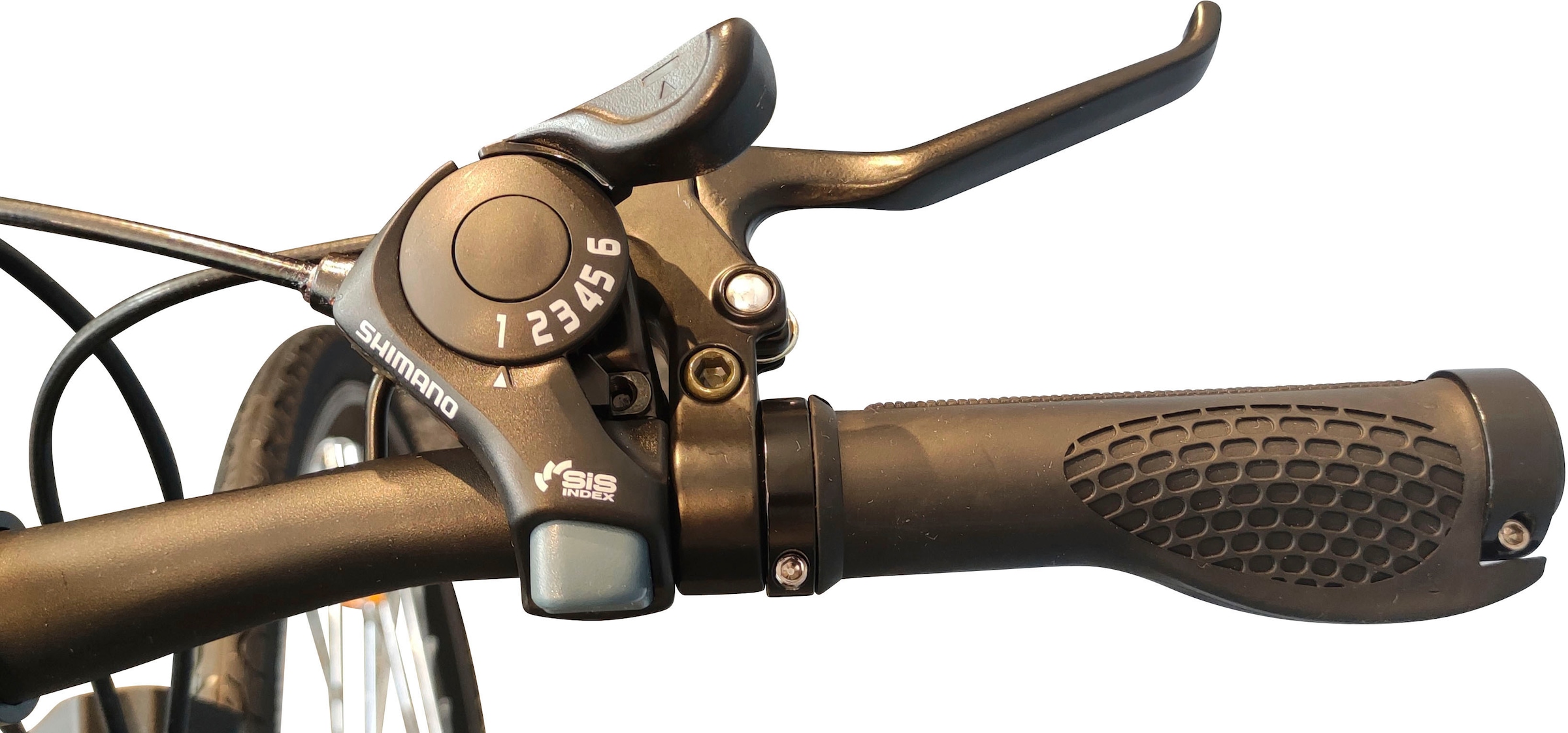 GreenStreet E-Bike, 6 Gang, Shimano, Heckmotor 250 W, Pedelec, Elektrofahrrad für Damen u. Herren