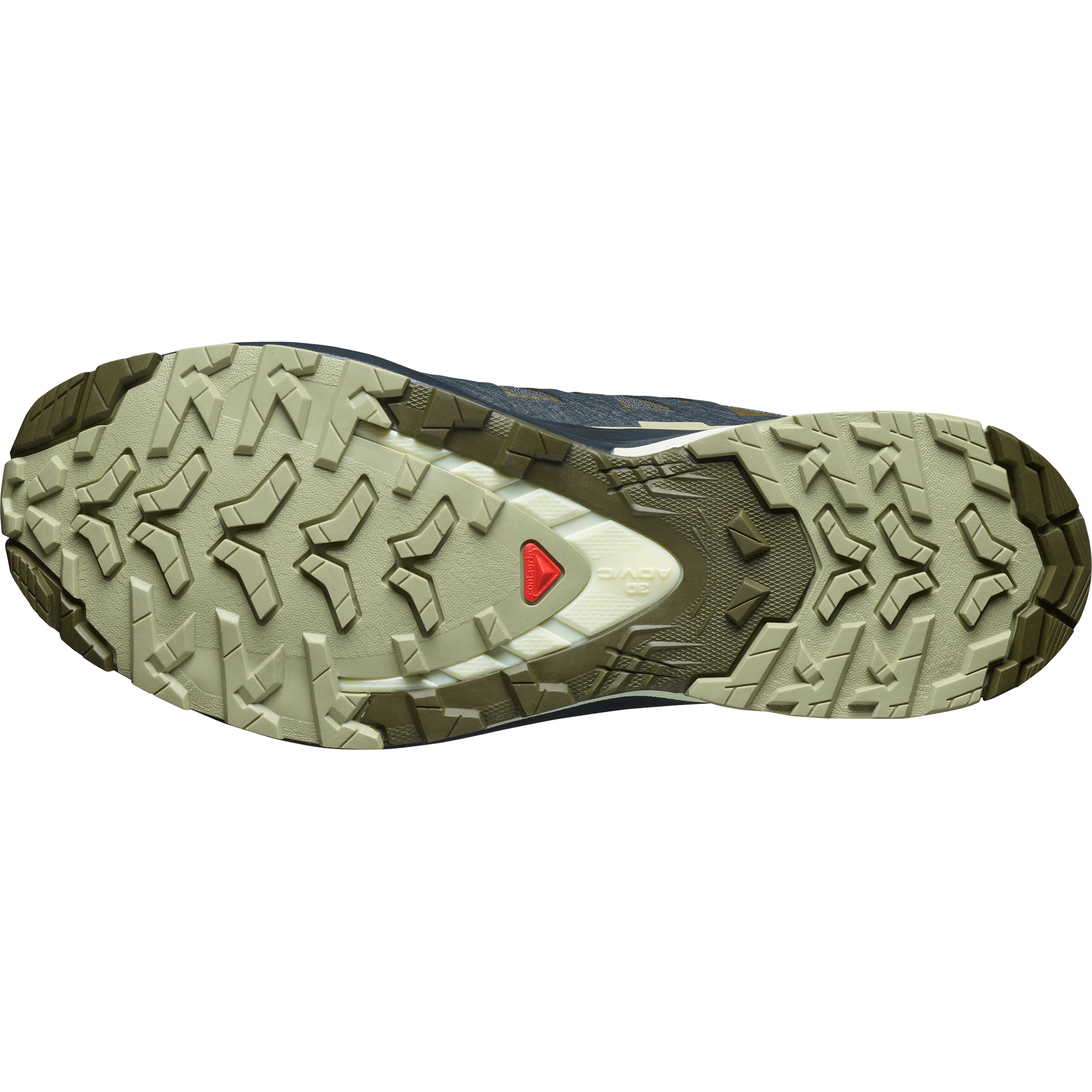 Salomon Trailrunningschuh »XA PRO 3D V9 GORE-TEX«, wasserdicht