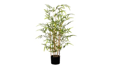 Gasper Kunstpflanze, (1 St.) kaufen