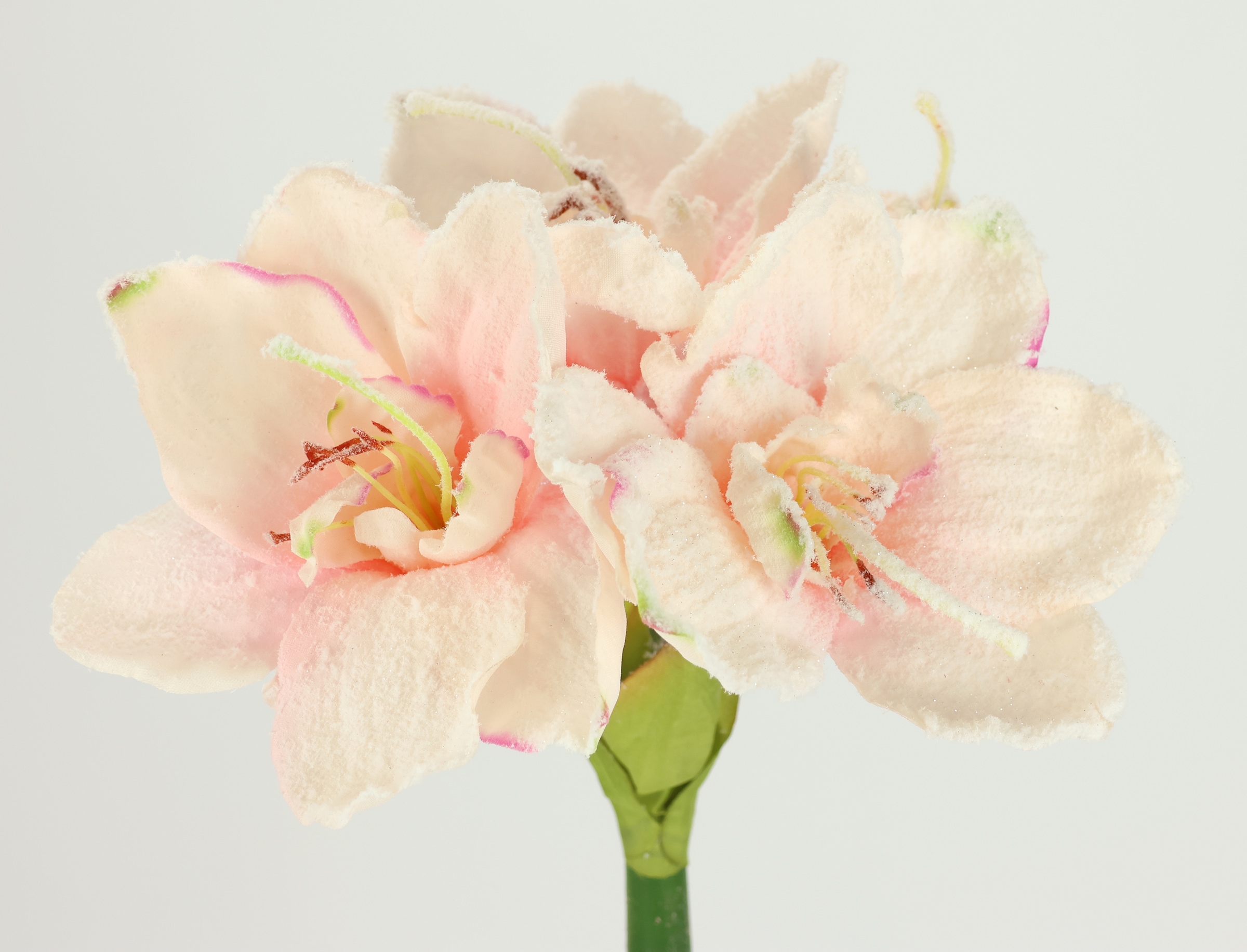 I.GE.A. Kunstblume »Amaryllis mit Kunstschnee«, 2er Set Zweige Winterblume Dekozweig Weihnachtsdeko Winterdeko