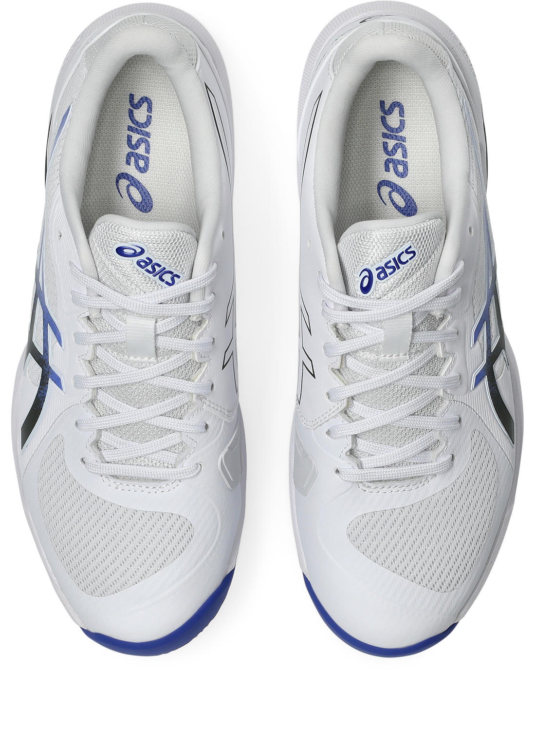 Asics Tennisschuh »SOLUTION SWIFT FF 2 CLAY«