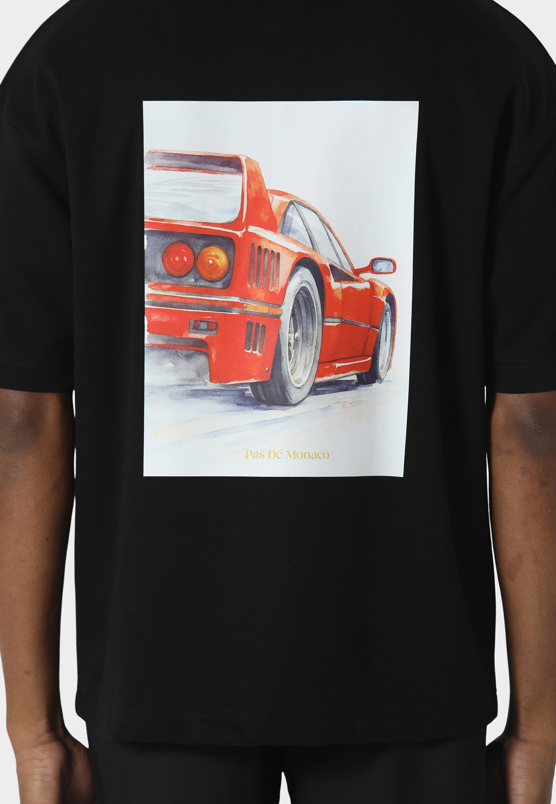 Pas De Monaco T-Shirt »Pas De Monaco LM-F40 T-SHIRT« 1
