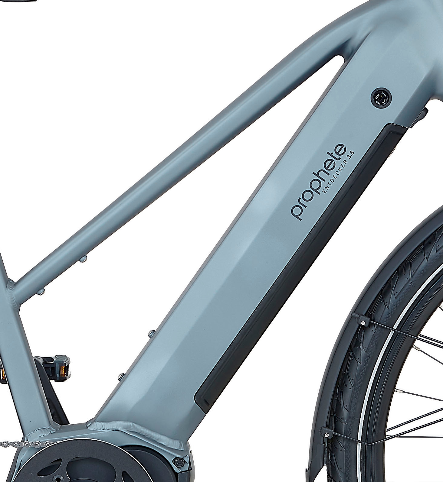 Prophete E-Bike »Entdecker 3.8«, 8 Gang, Shimano, Altus, Mittelmotor 250 W, Pedelec, Elektrofahrrad für Damen