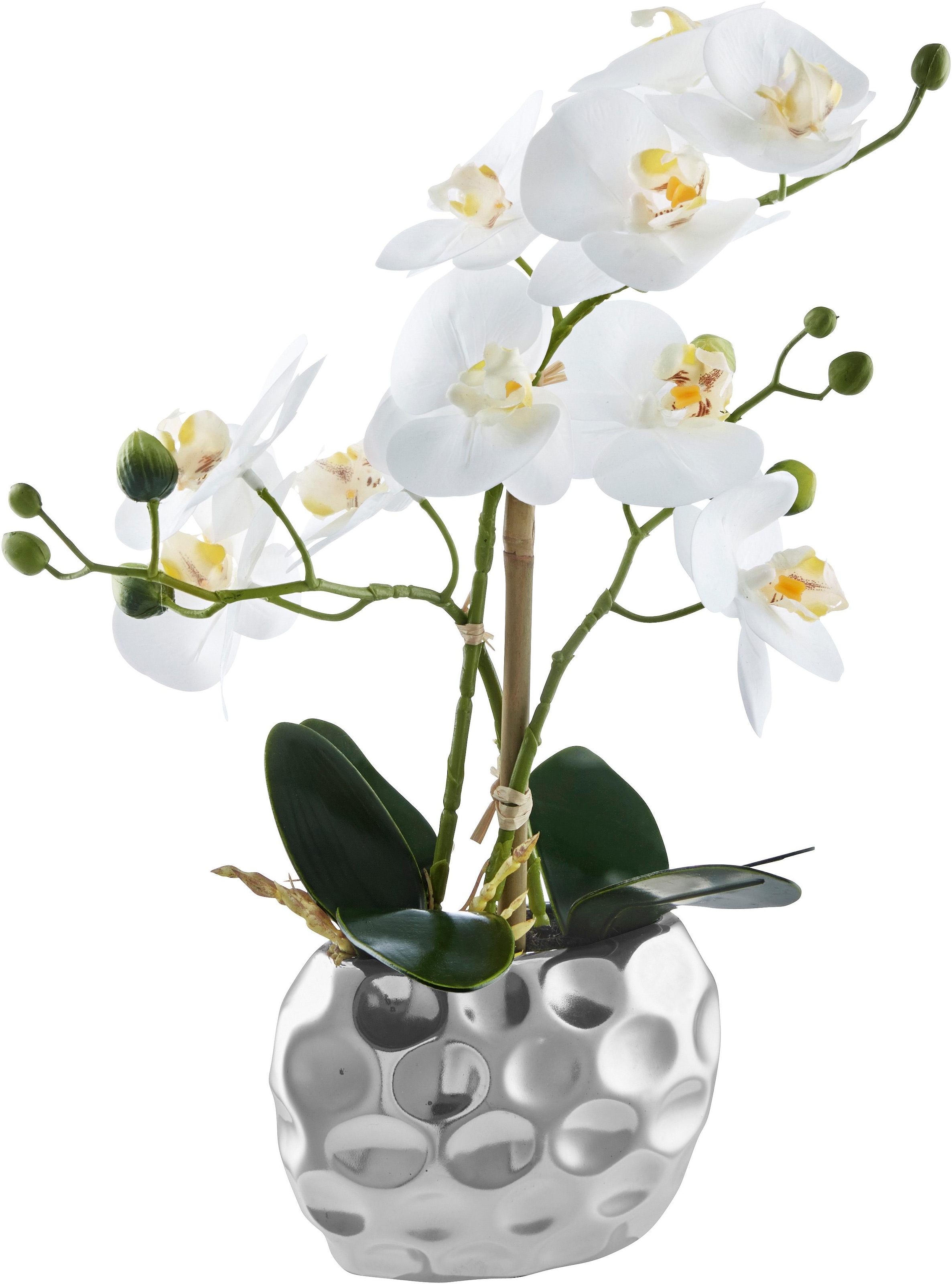 OTTO home Kunstpflanze "Orchidee, inklusive Übertopf aus Keramik in schwarz günstig online kaufen