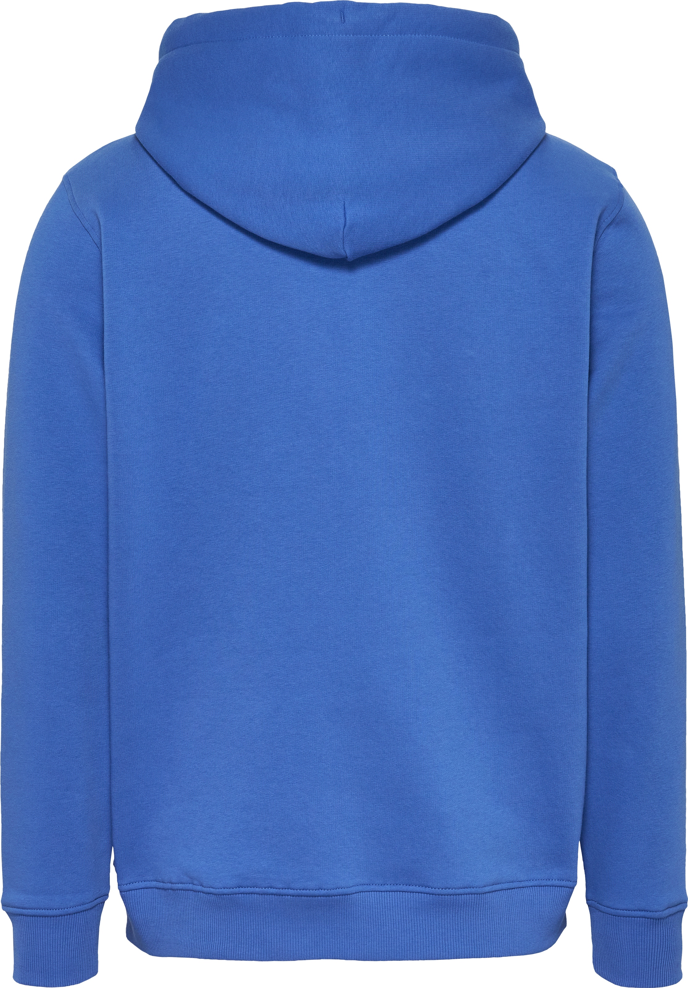 Tommy Jeans Hoodie »TJM REG LINEAR LOGO HOODIE EXT«, mit Logo-Stickerei