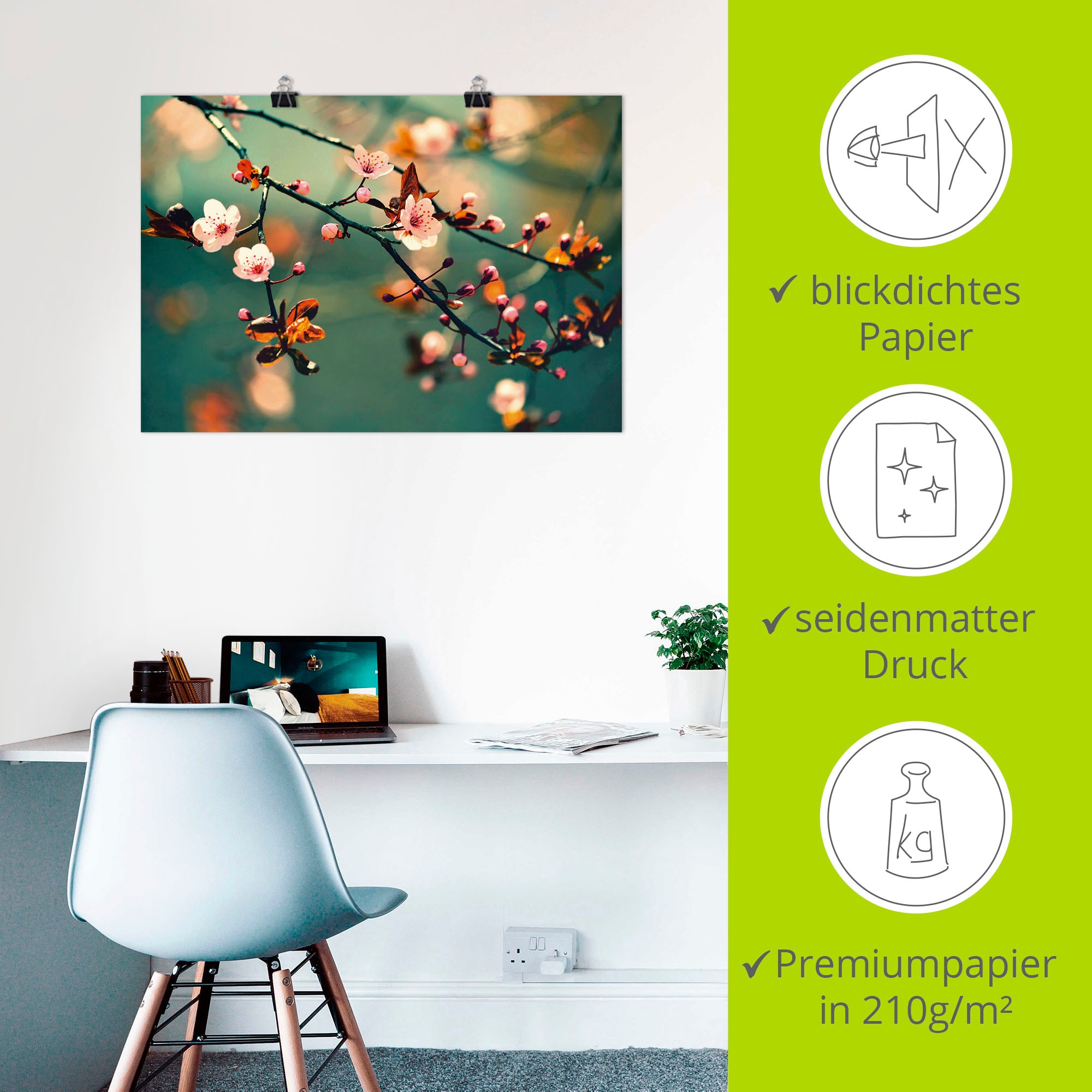 Artland Wandbild »Japanische Kirsch Sakura Blumen« Blumen 1 Stk. tlg. als Leinwandbild, Poster in verschied. Größen