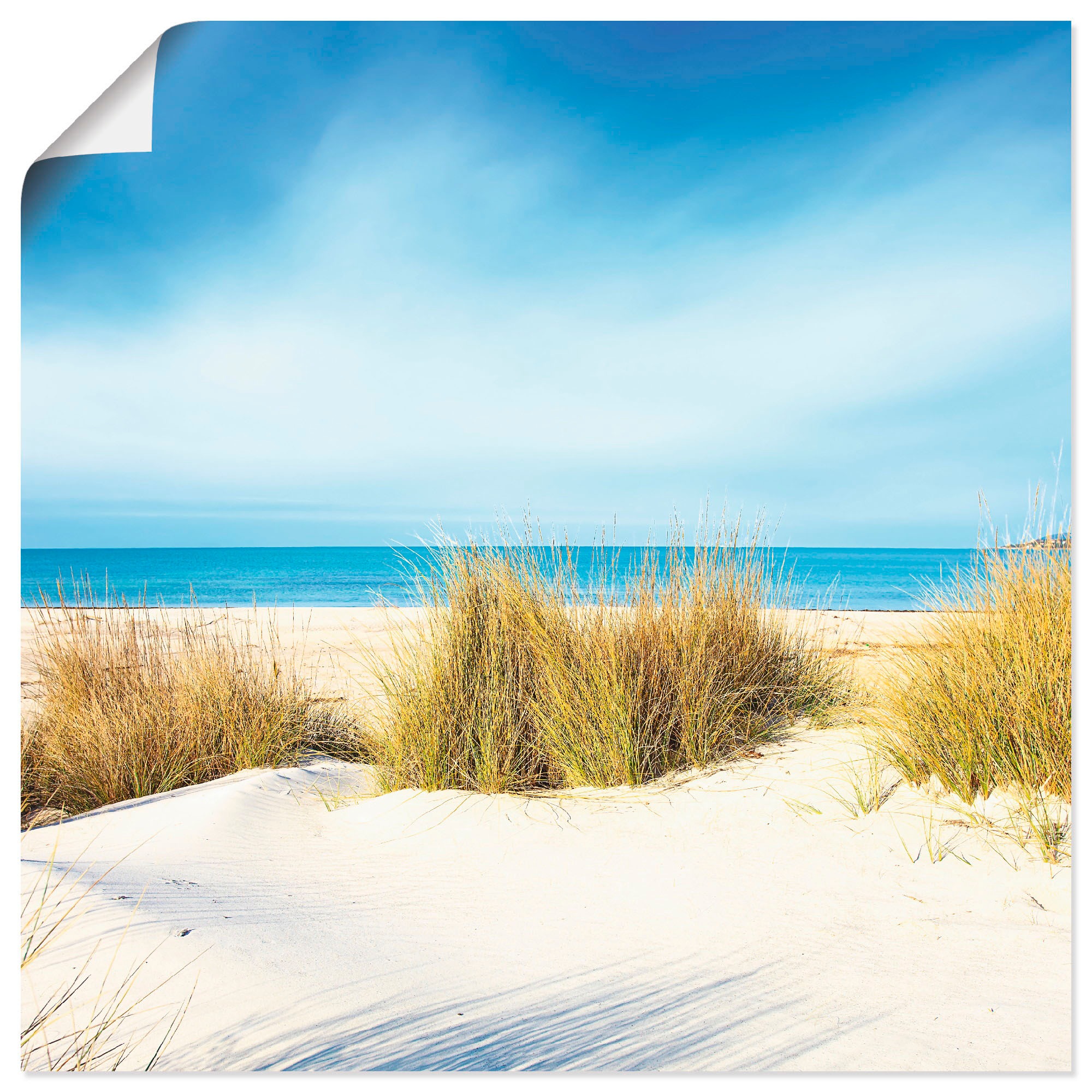 Artland Wandbild "Gras auf Sanddünen", Strand, (1 St.), als Leinwandbild, P günstig online kaufen