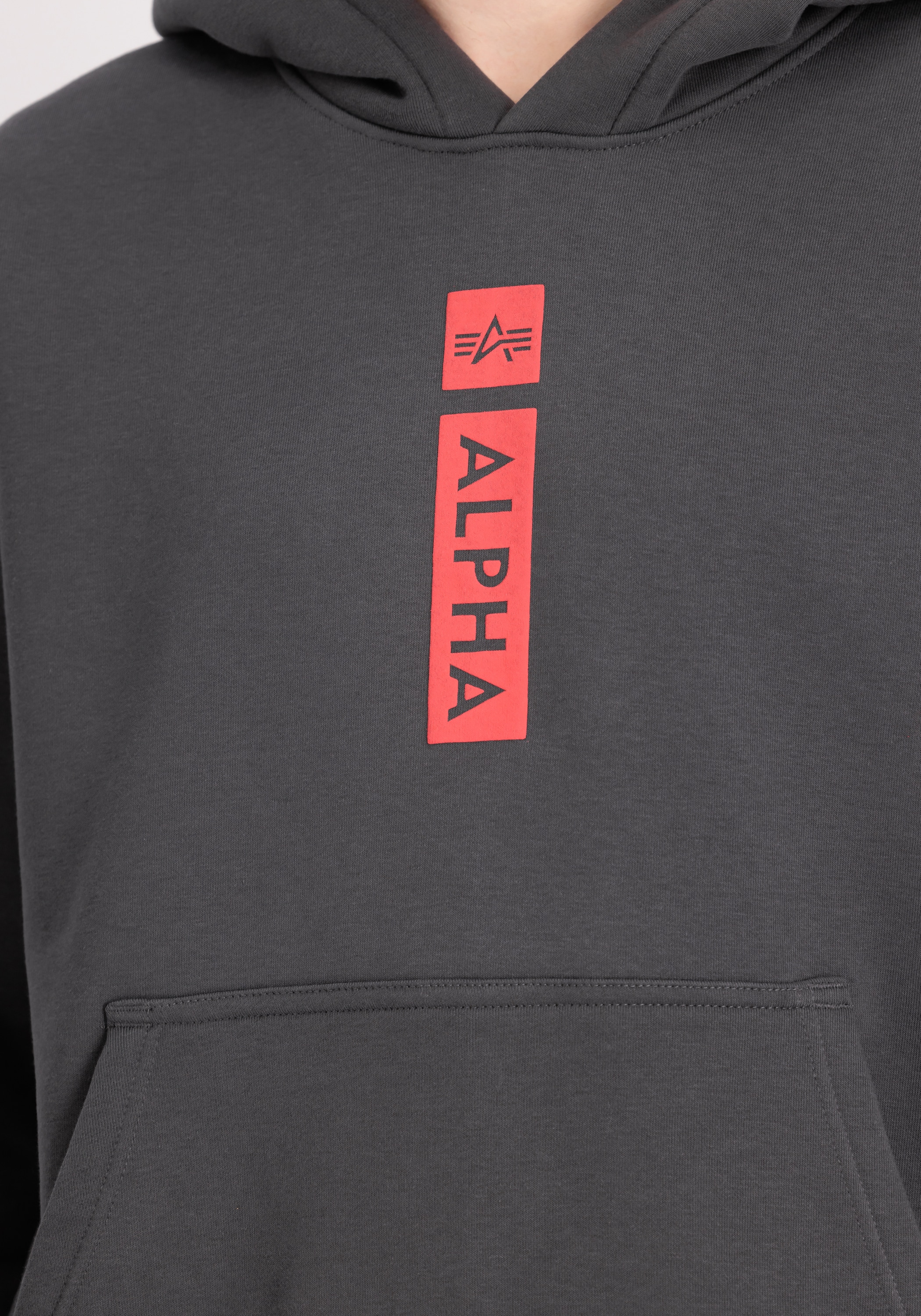 Alpha Industries Hoodie »Alpha Industries Men - Hoodies Alpha Puff Print Hoodie«