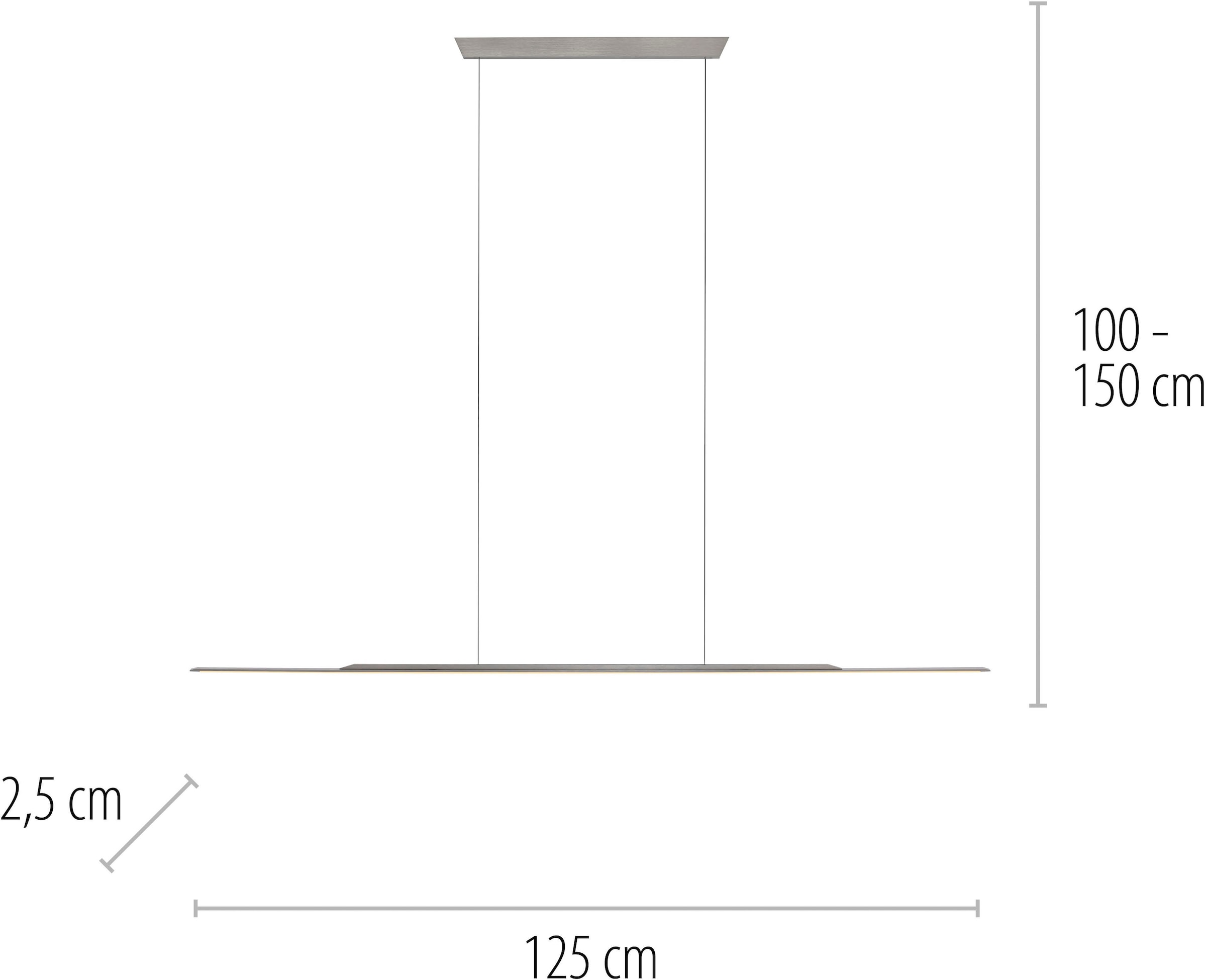 Neuhaus PURE LED Pendelleuchte »PURE Surface« LED-Board 1 Stk. Warmweiß Dimmfähig über separaten Dimmer, höhenverstellbar