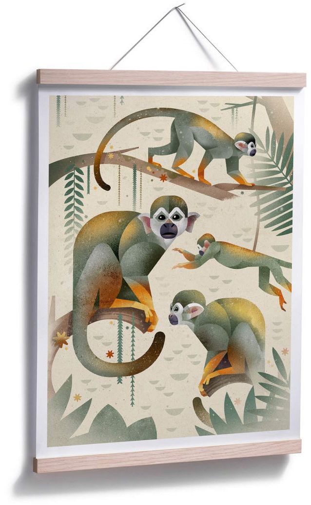 Wall-Art Bild, | Monkeys«, bestellen Wandposter Tiere, Poster Poster, BAUR »Squirrel Wandbild, (1 St.),