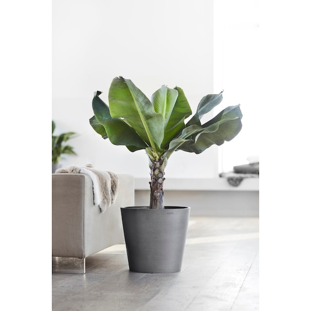 ECOPOTS Blumentopf »Amsterdam«, ØxH: 40x35 cm kaufen | BAUR