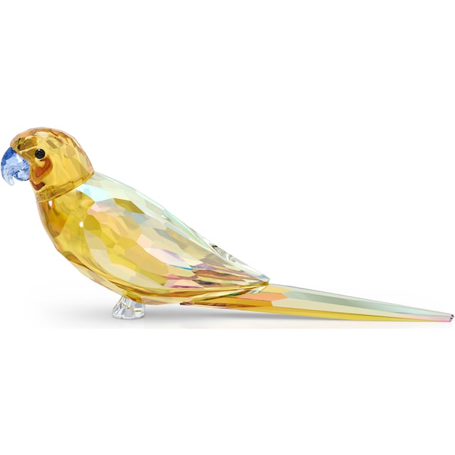 Swarovski Dekofigur »Kristallfigur Vogel Jungle Beats Gelbbauchsittich  Lechee, 5619217«, Swarovski® Kristall | BAUR