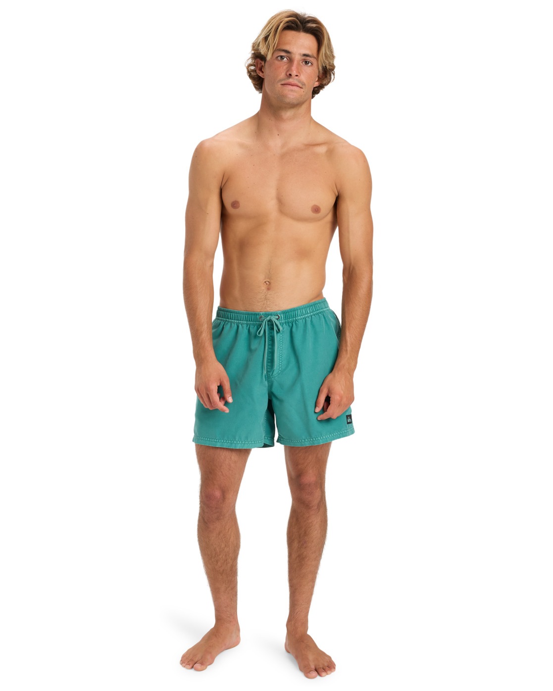 Quiksilver Boardshorts »Everyday Surfwash Volley 15"«