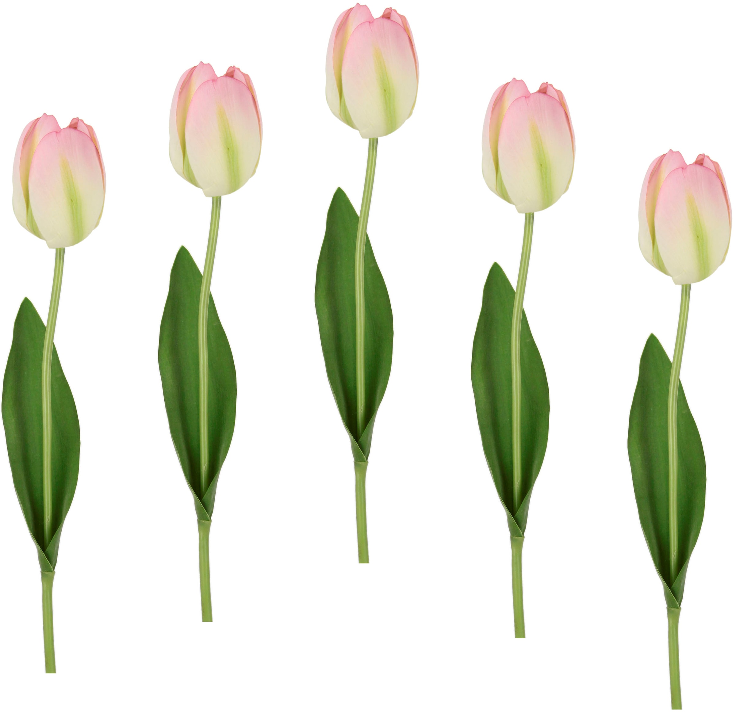 I.GE.A. Kunstblume »Real Touch Tulpen«, 5er Set künstliche Tulpenknospen, Kunstblumen, Stielblume