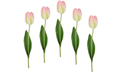 I.GE.A. Kunstblume »Real Touch Tulpen«, (5 St.), 5er Set künstliche Tulpenknospen,... kaufen