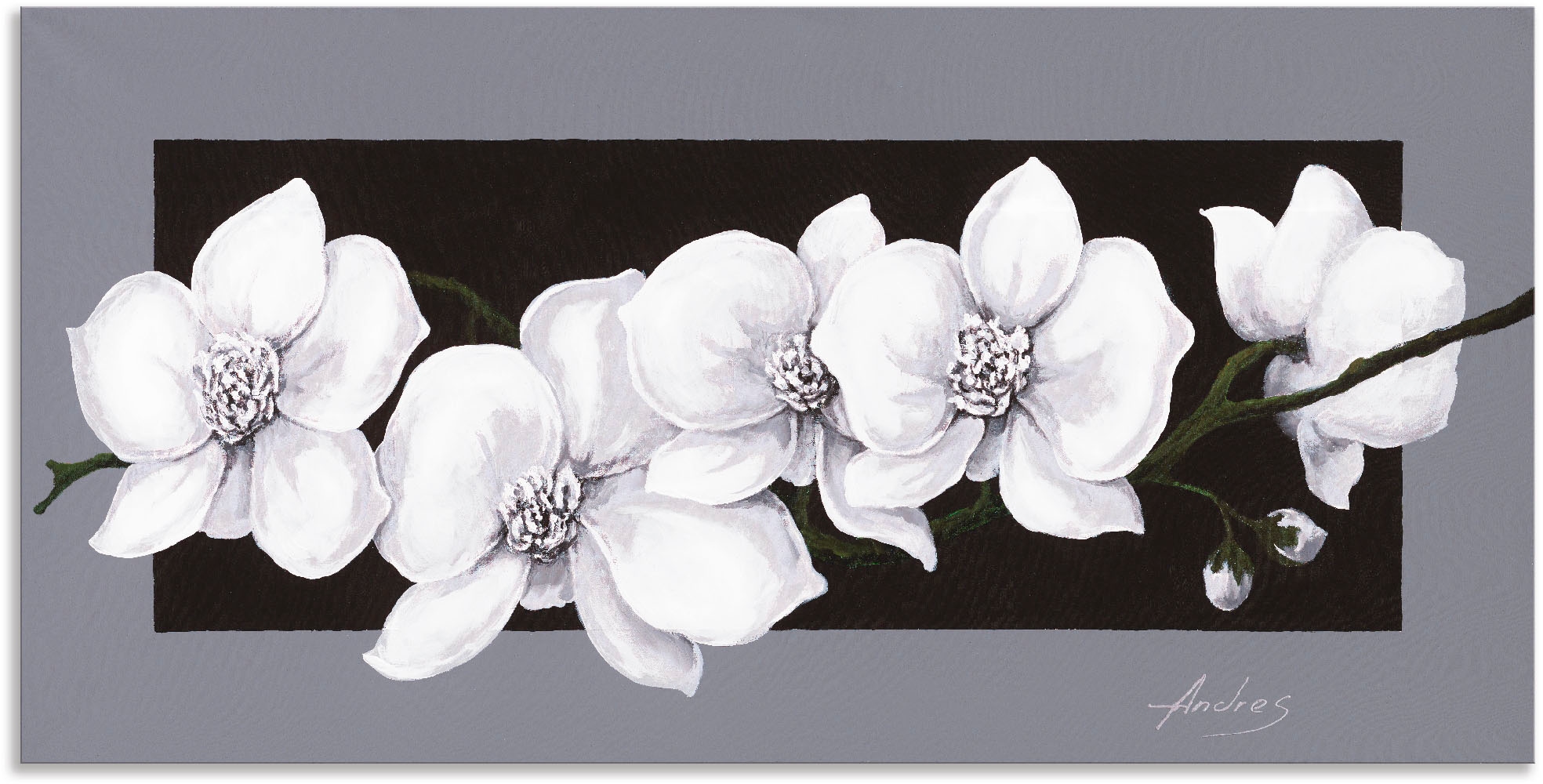 Artland Wandbild "Weiße Orchideen auf grau" 1 Stk. tlg. als Alubild, Outdoo günstig online kaufen