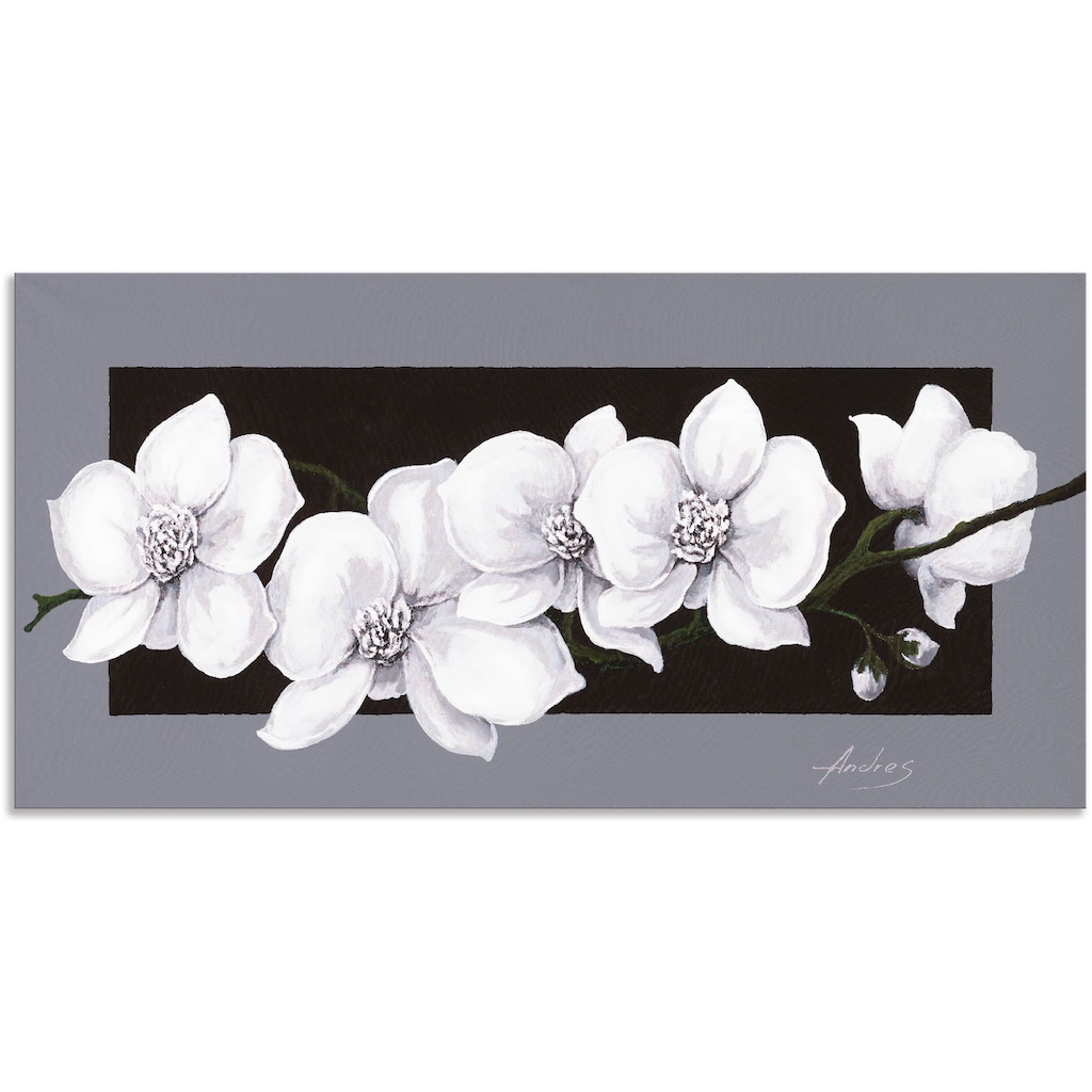 Artland Wandbild »Weiße Orchideen auf grau«, Blumen, (1 St.)