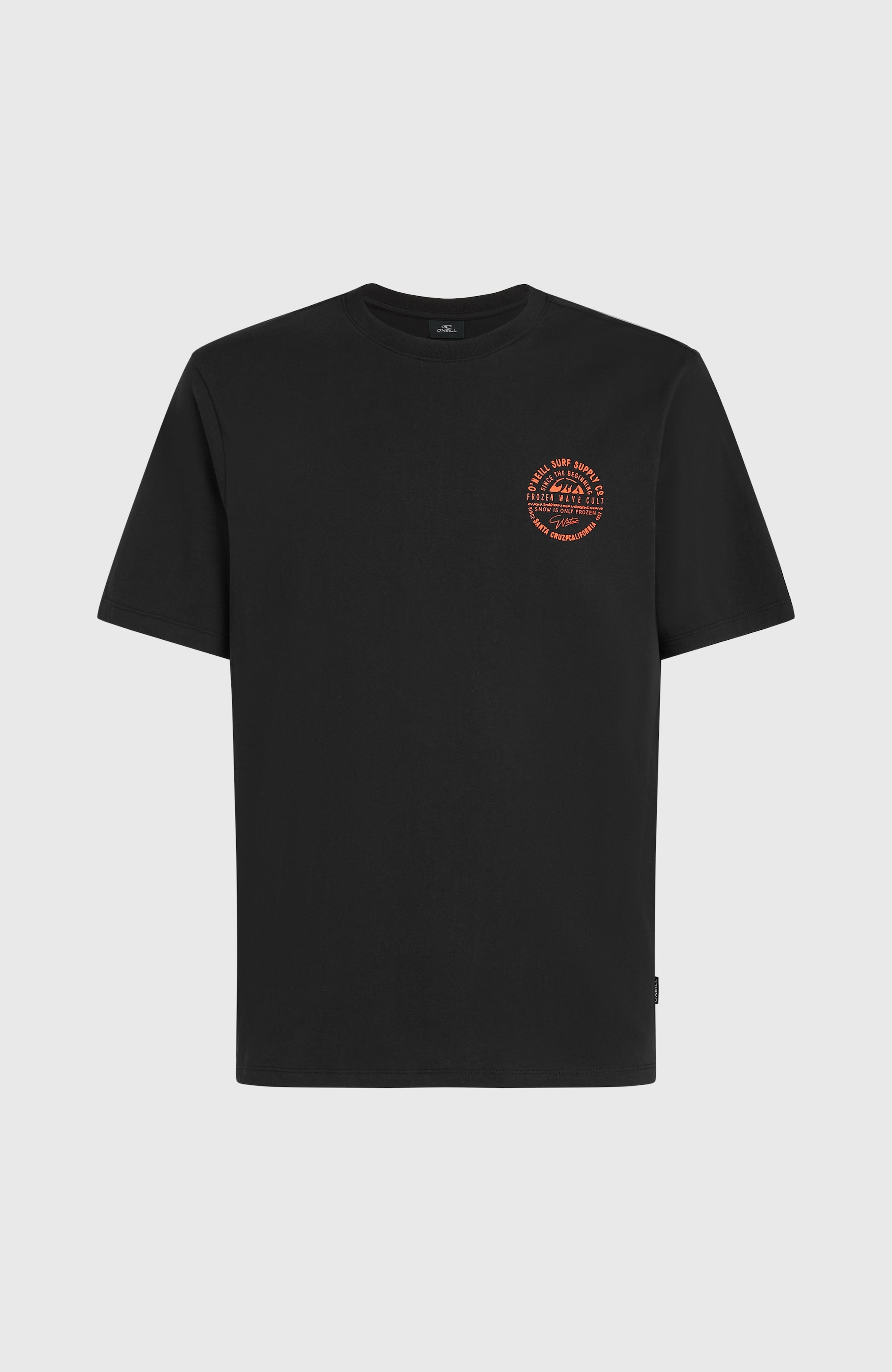 O'Neill T-Shirt »O'NEILL CHEST PRINT T-SHIRT«, (1 tlg.)