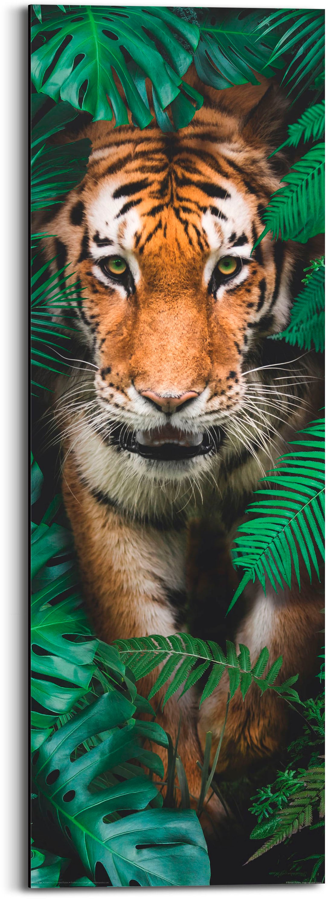 Reinders! Holzbild »Walking Tiger«, (1 St.) kaufen | BAUR