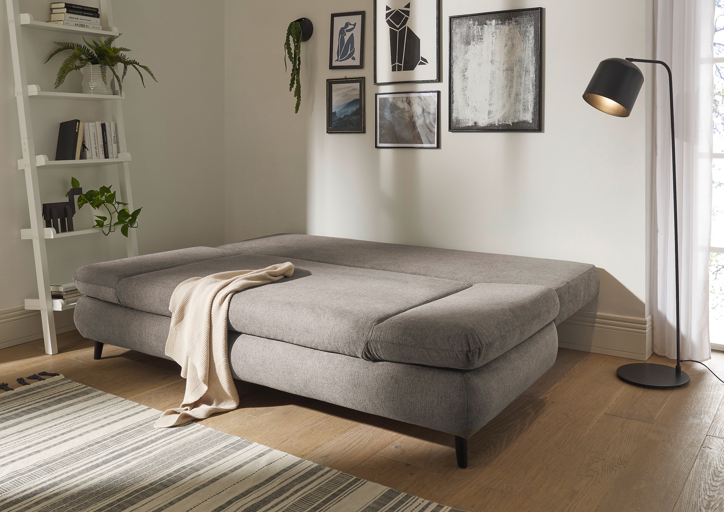 ED EXCITING DESIGN Schlafsofa »Sunny«, mit Bettkasten & Armteilverstellung