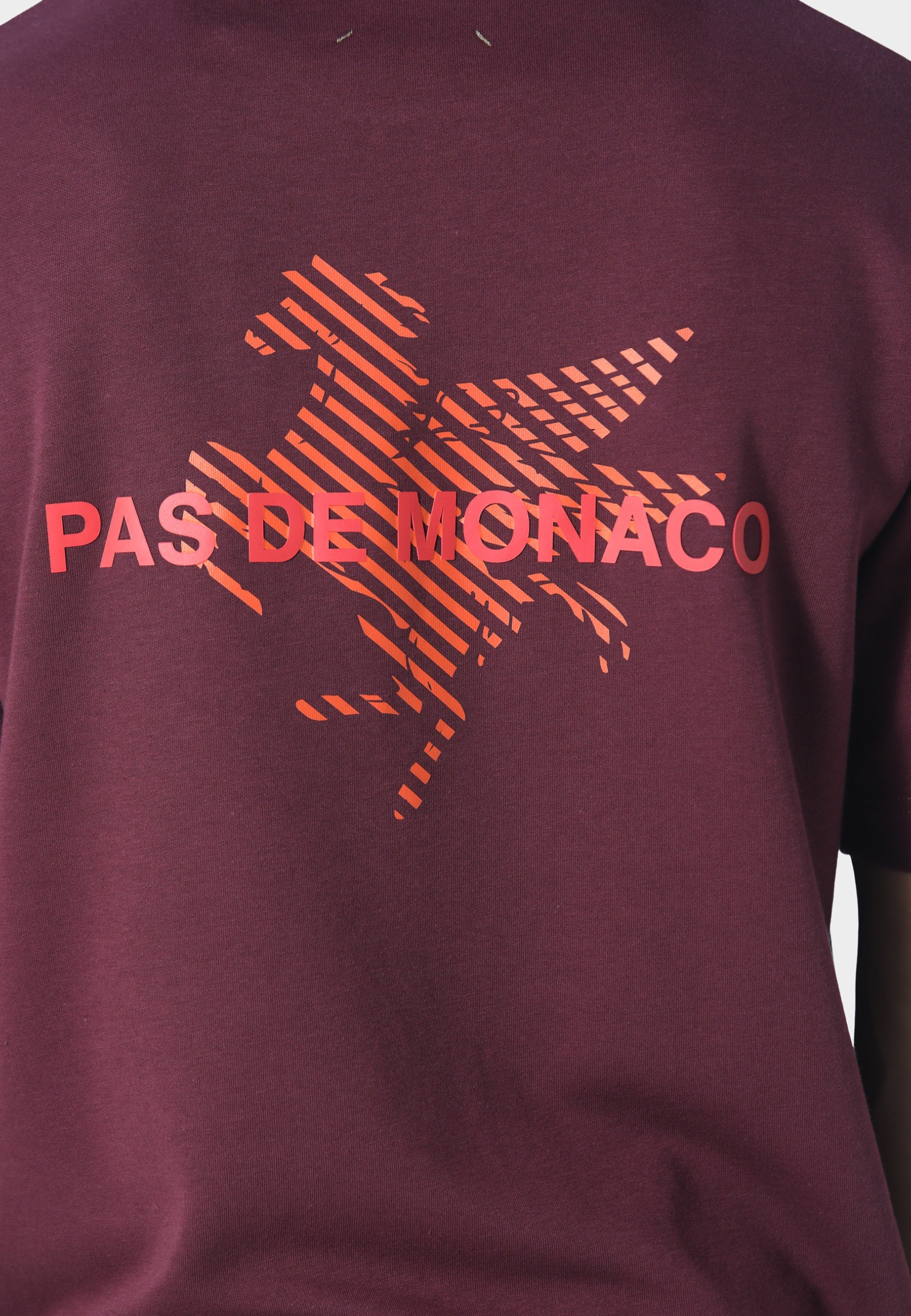 Pas De Monaco T-Shirt »Pas De Monaco LA PEGAUS CHEVRON T-SHIRT« 1
