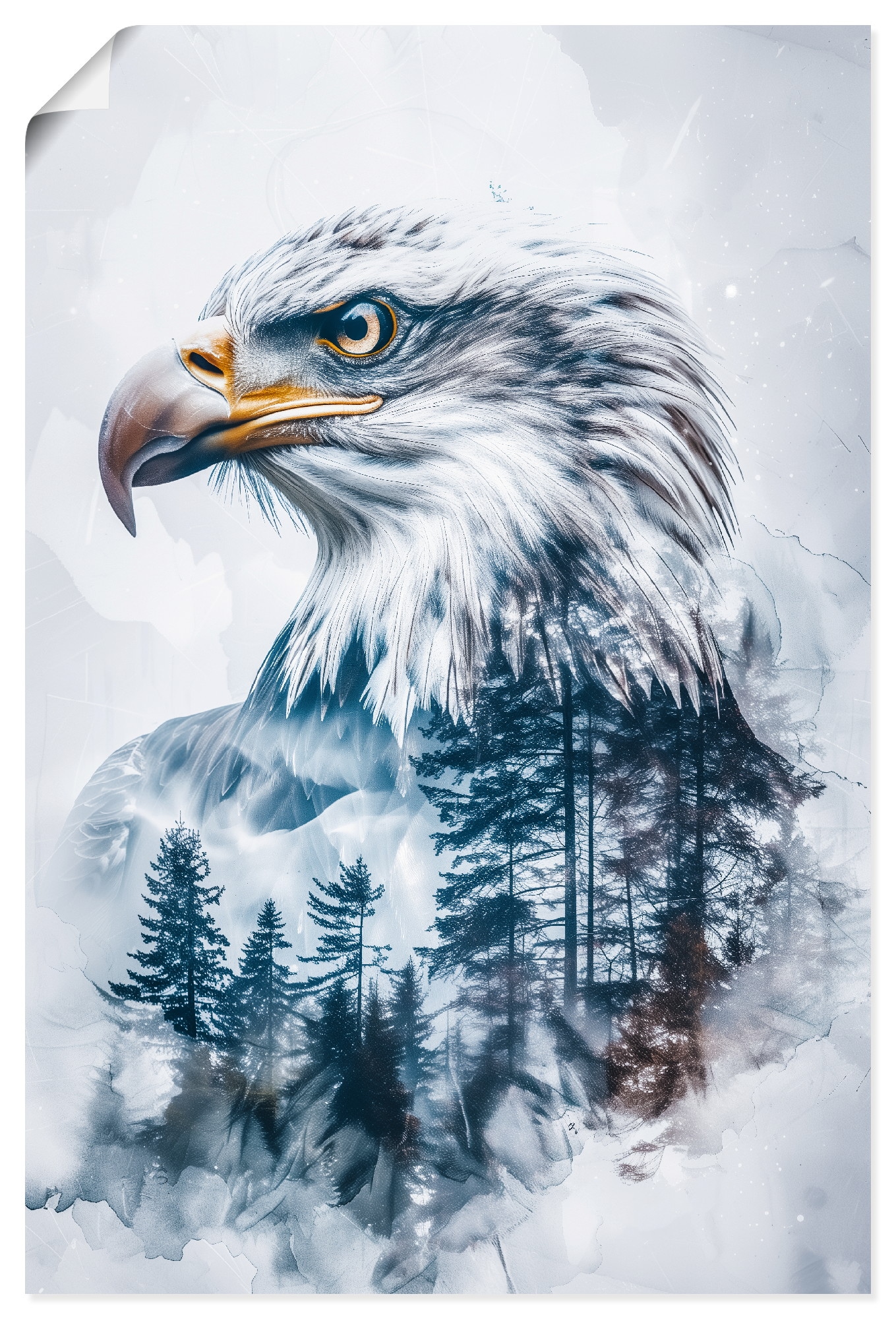 Artland "Weißkopfadler" Vogelbilder 1 Stk. tlg. als Alubild, Leinwandbild, Poster, Wandaufkleber in verschied. Größen