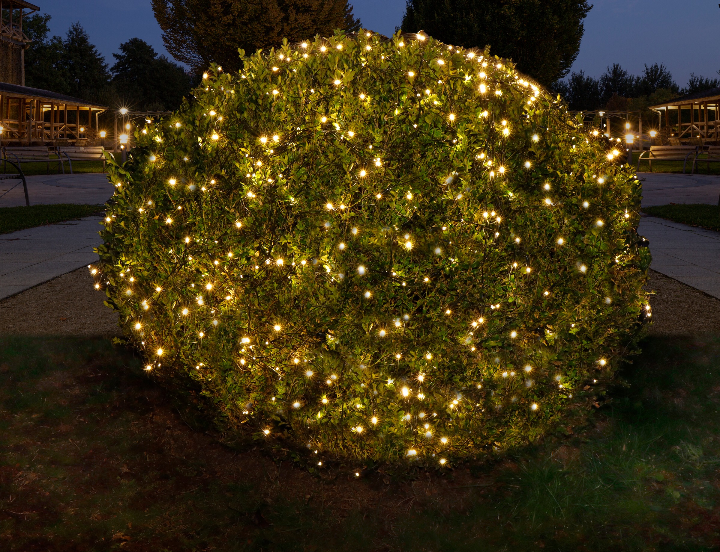 kaufen für warmweißen zahlreichen Star-Max »Weihnachtsdeko aussen«, Außenbereich | LED-Lichternetz mit BAUR LEDs, den