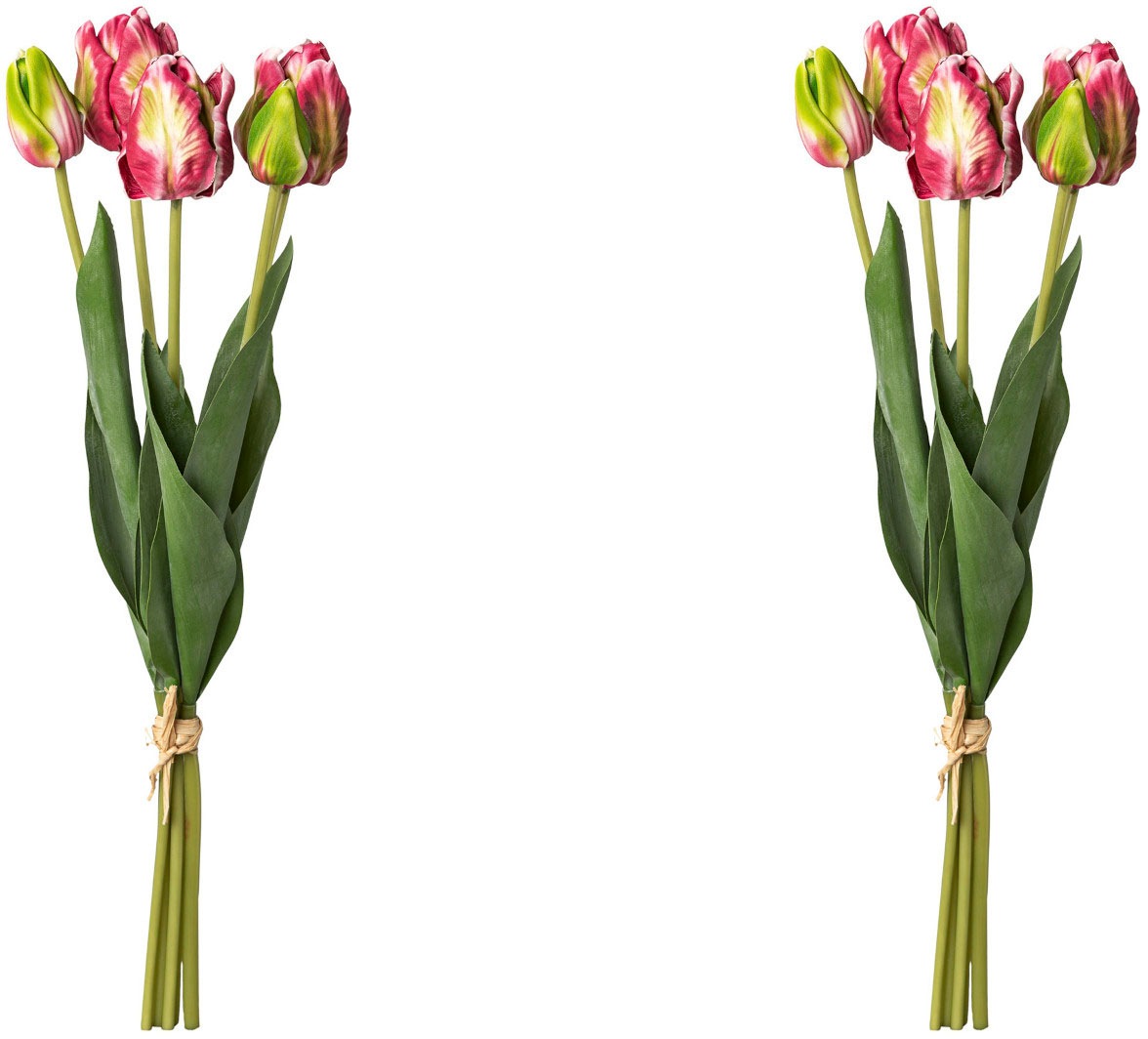 my home Kunsttulpe »Tulpenbund«
