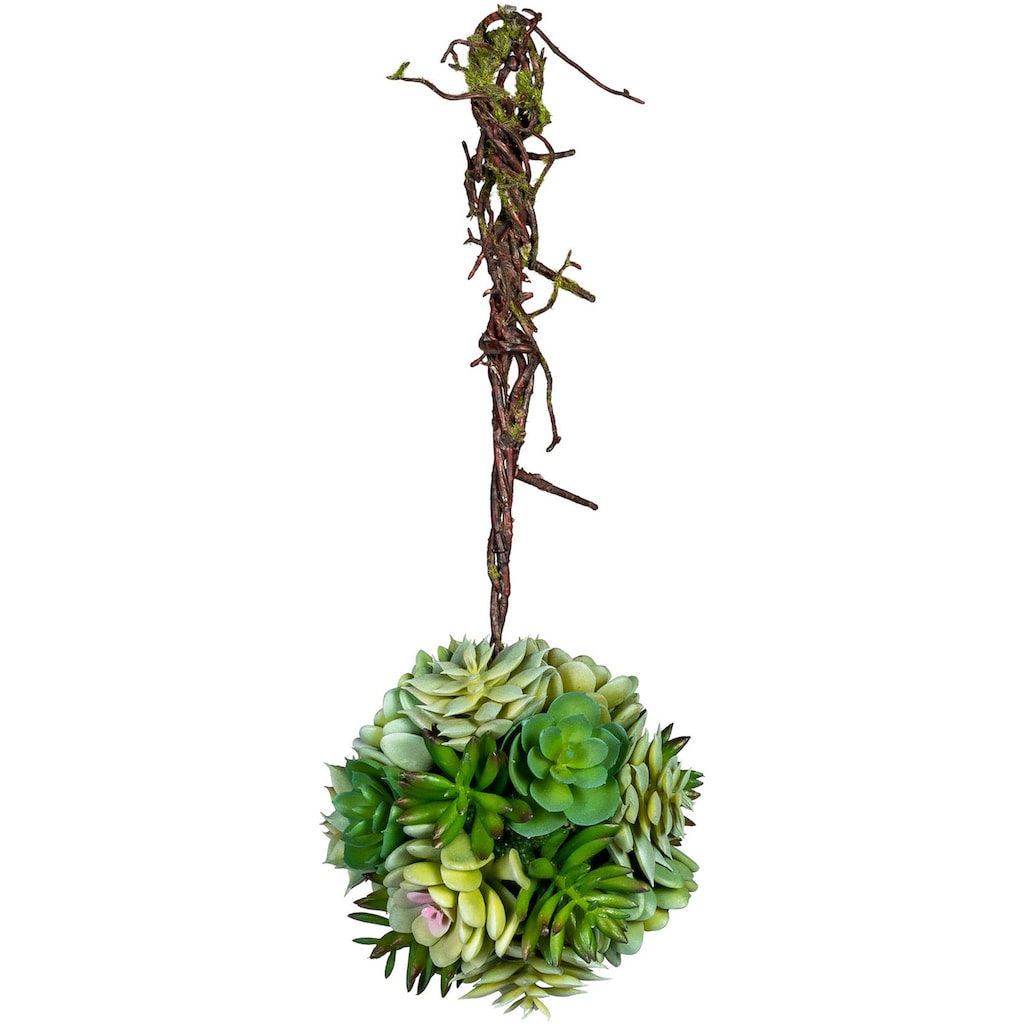 Creativ green Kunstpflanze »Sukkulentenkugel mit Hänger«