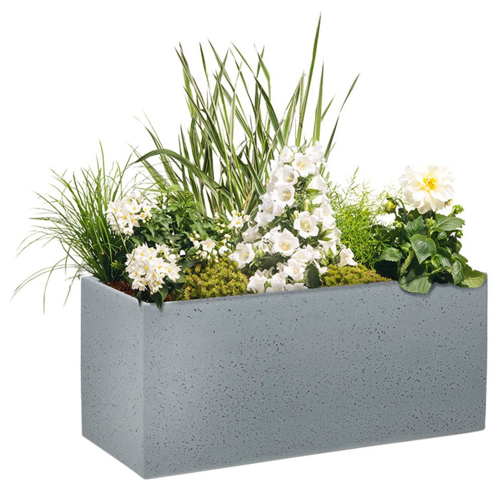 Scheurich Blumentopf »80/240 C-CUBE LONG«