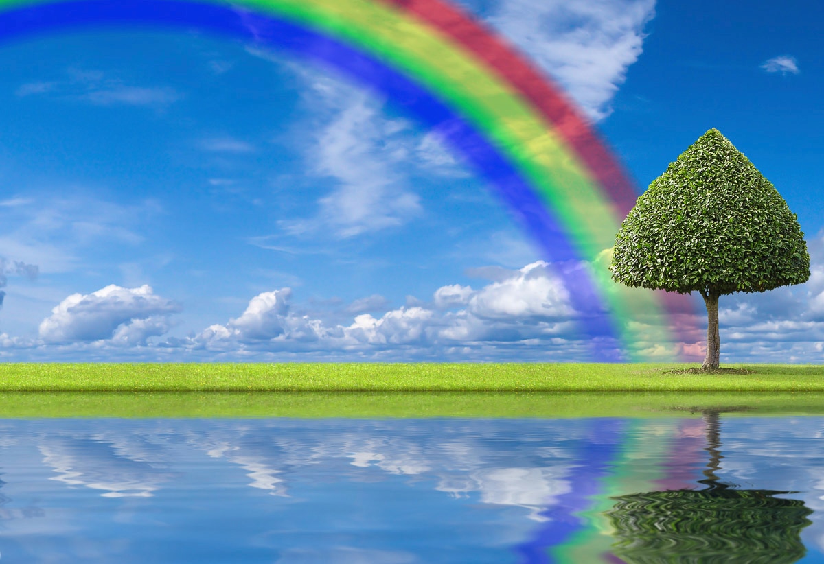 Papermoon "regenbogen Wiese"