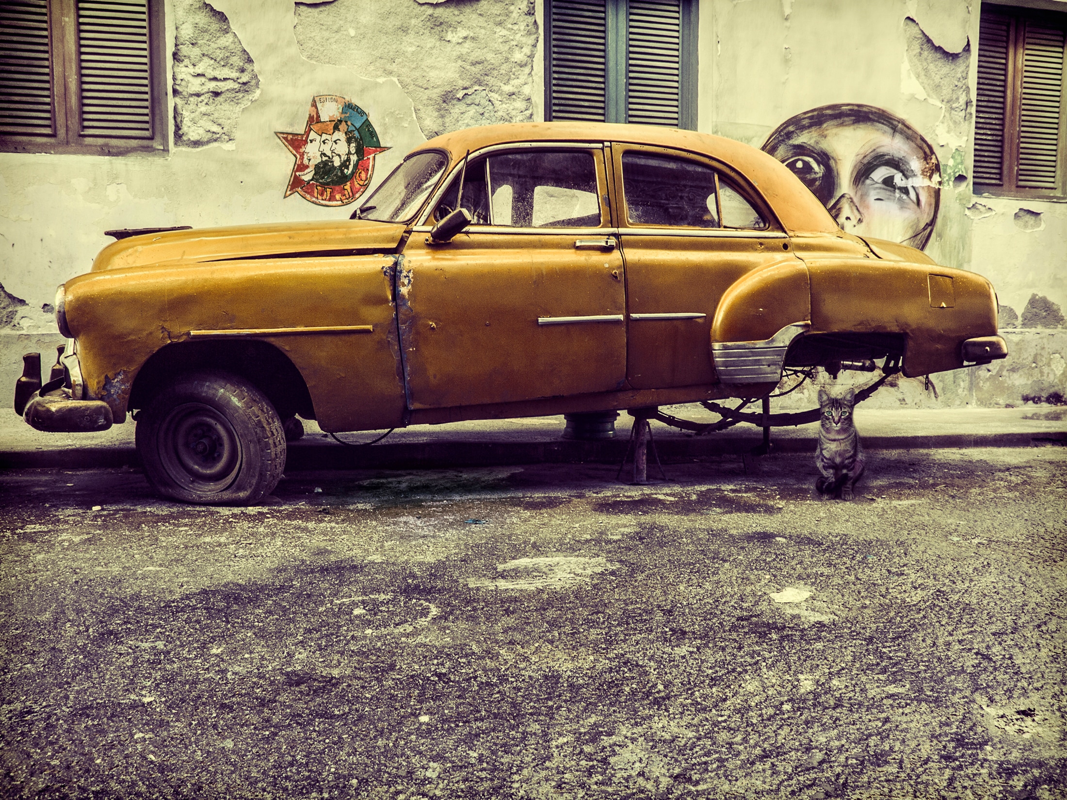 Papermoon "Photo-Art SVETLIN YOSIFOV, ALTES AUTO / KATZE"