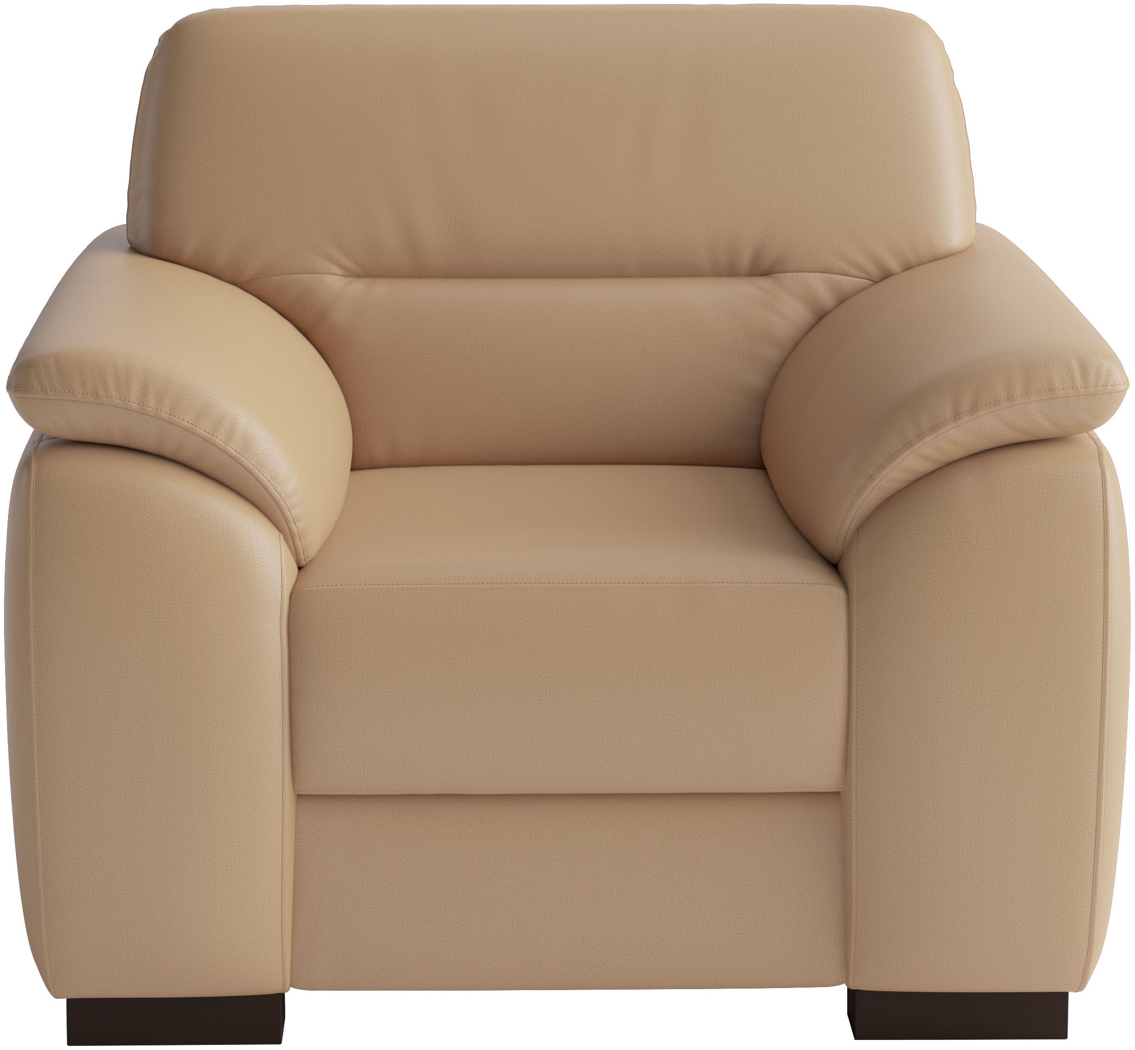 sit&more Sessel "Montego" mit Federkern
