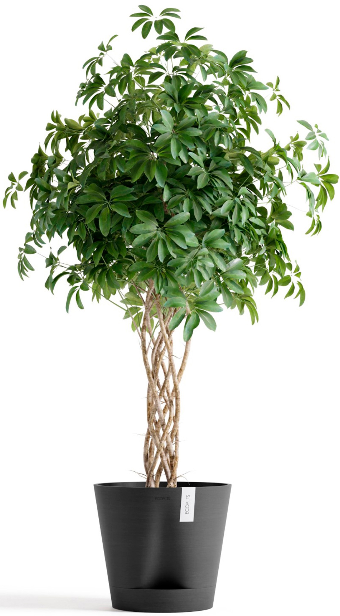 ECOPOTS Blumentopf »Venice 2 40 Dunkelgrau«, für den Innenbereich
