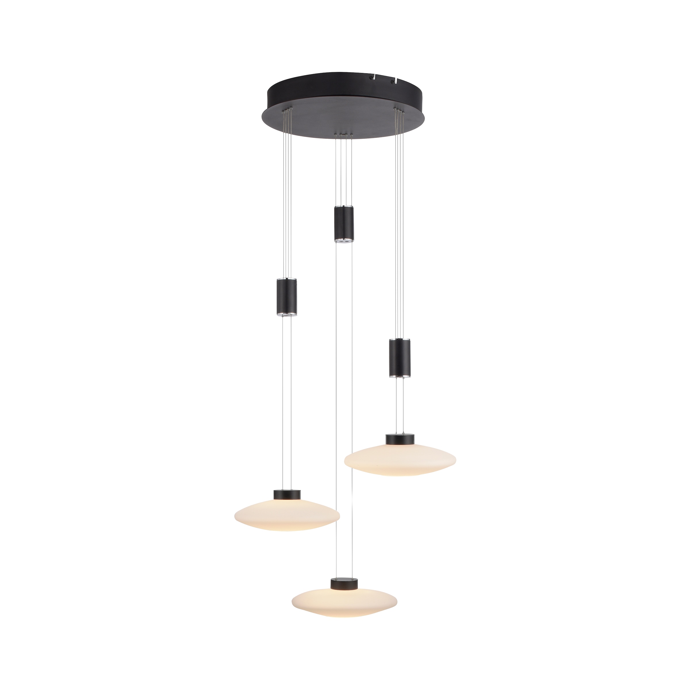 Paul Neuhaus Pendelleuchte "LAUTADA" LED-Board 1 Stk. Warmweiß LED, dimmbar günstig online kaufen