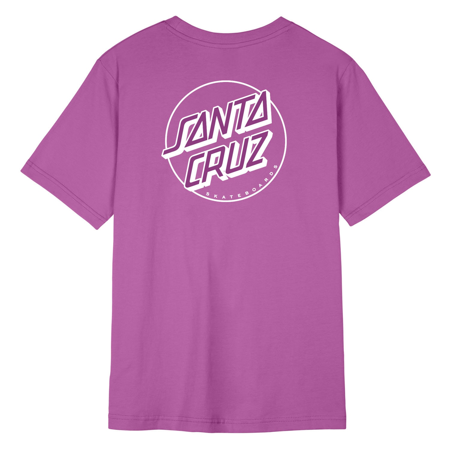Santa Cruz T-Shirt »PARTIAL DOT T-SHIRT«