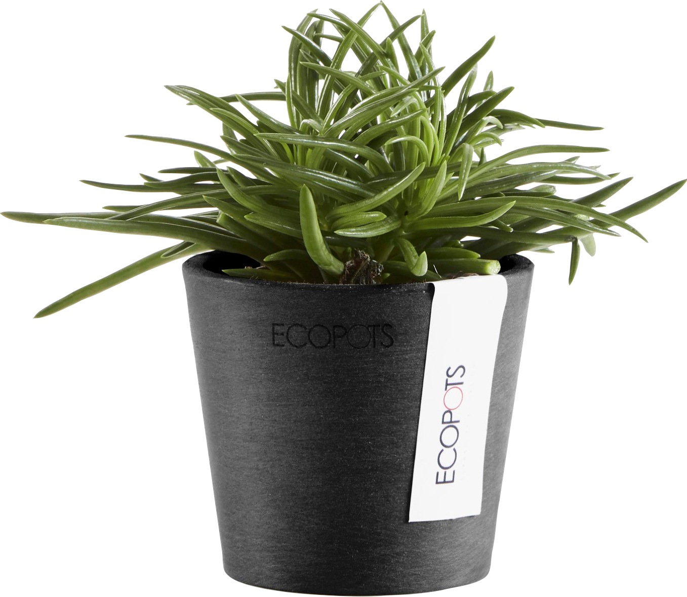 ECOPOTS Blumentopf »AMSTERDAM Mini Dark Grey«, BxTxH: 8x8x7 cm