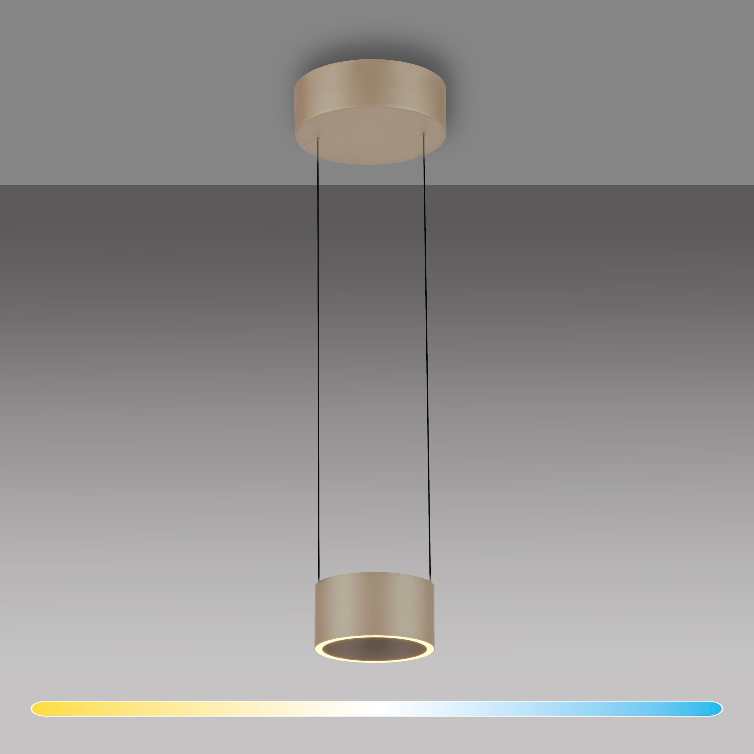 Neuhaus PURE LED Pendelleuchte »PURE Clipse« LED-Board 1 Stk. warmweiß - kaltweiß Comfort Lift, CCT, dimmbar über Fernbedienung