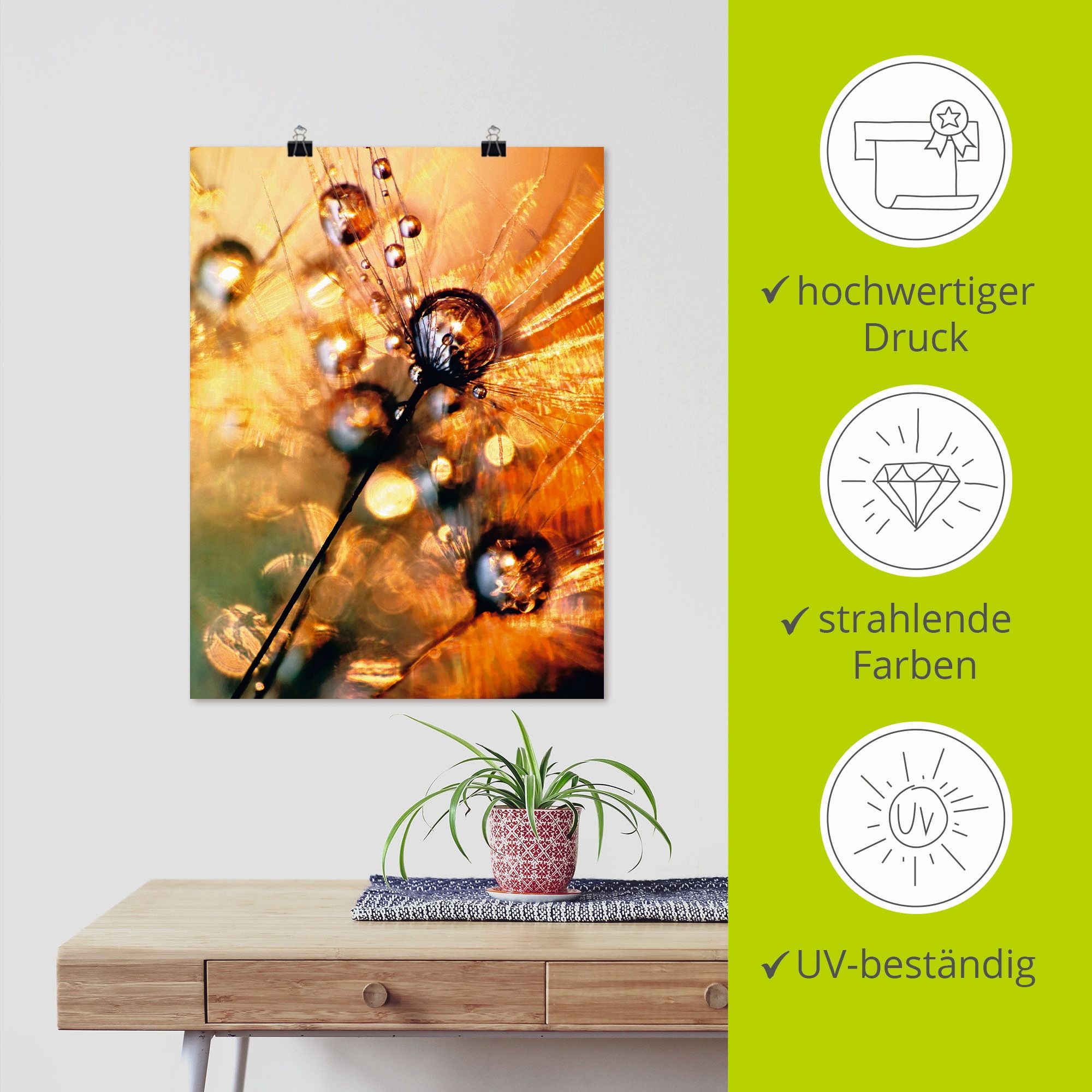 Artland Wandbild »Pusteblume Energy«, Blumen, (1 St.), als Leinwandbild, Poster in verschied. Größen