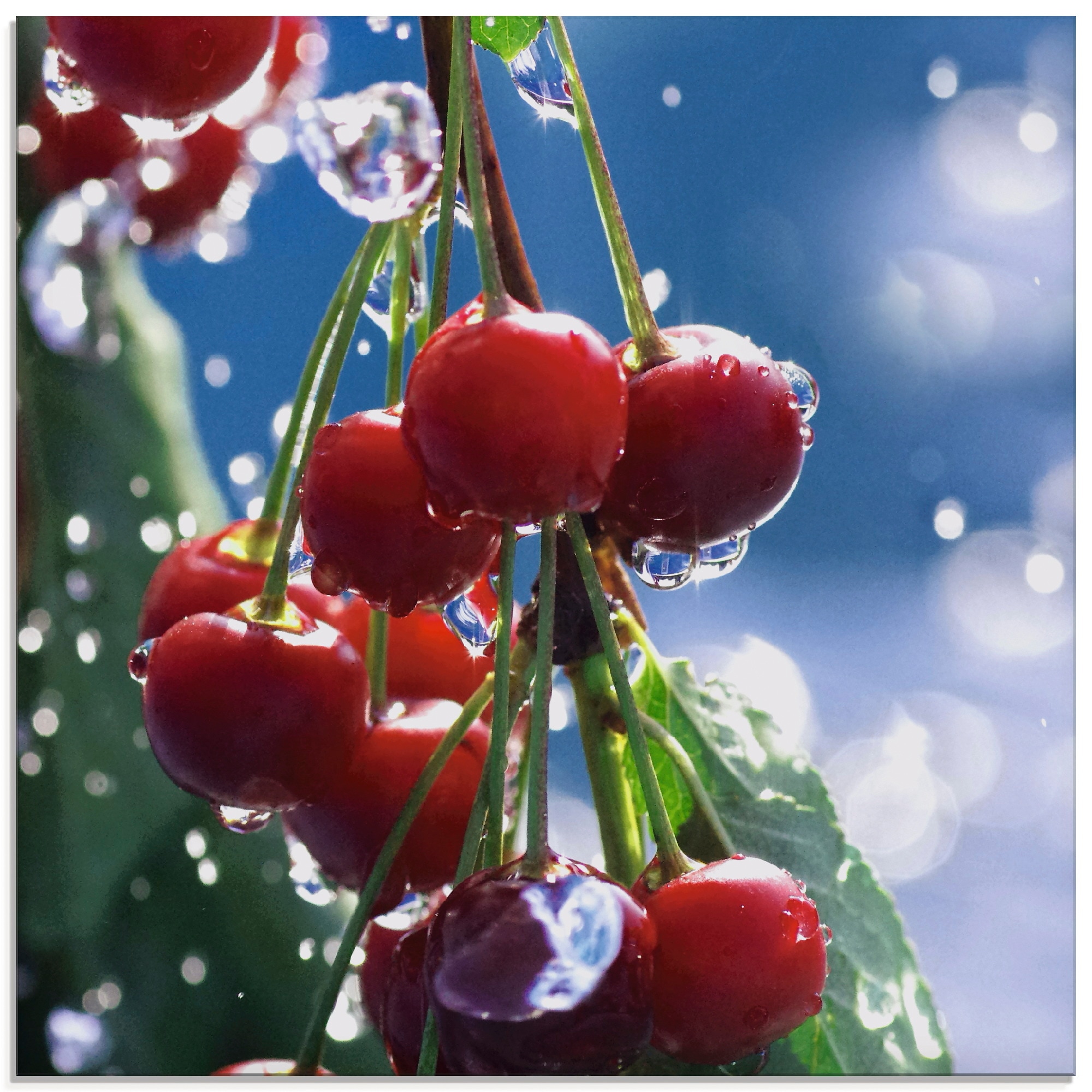Artland Glasbild "Rote Kirschen im Sommerregen" Lebensmittel 1 Stk. tlg. in verschiedenen Größen