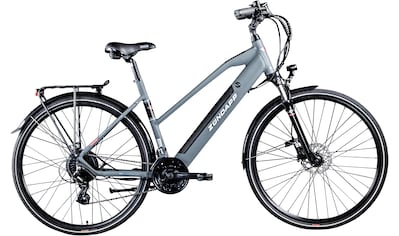 E-Bike »Z810«, 24 Gang, Shimano, Altus RD-M310, Heckmotor 250 W